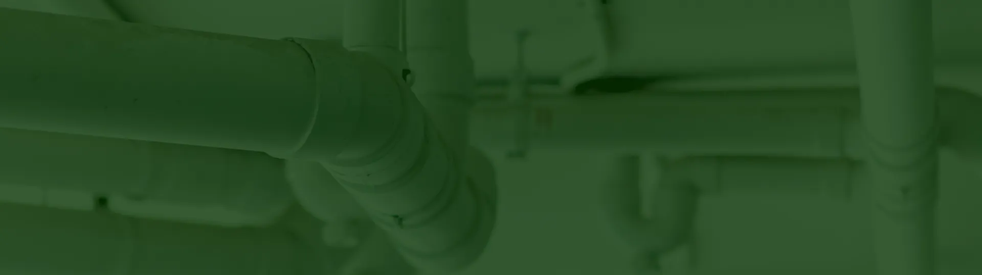 breadcrumb vogels optimized