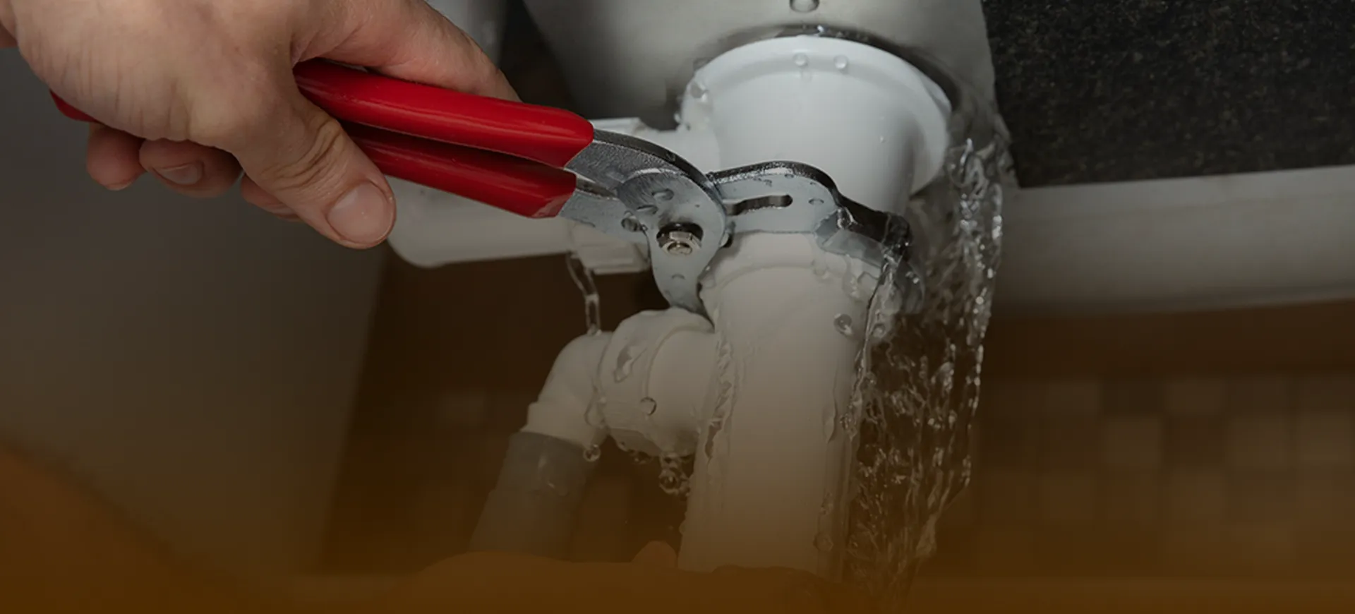 vogels hero image optimized